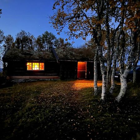 레울란 Traditional Log Cabin At Vierli 빌라 외부 사진