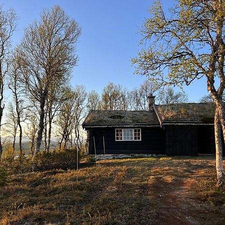 레울란 Traditional Log Cabin At Vierli 빌라 외부 사진