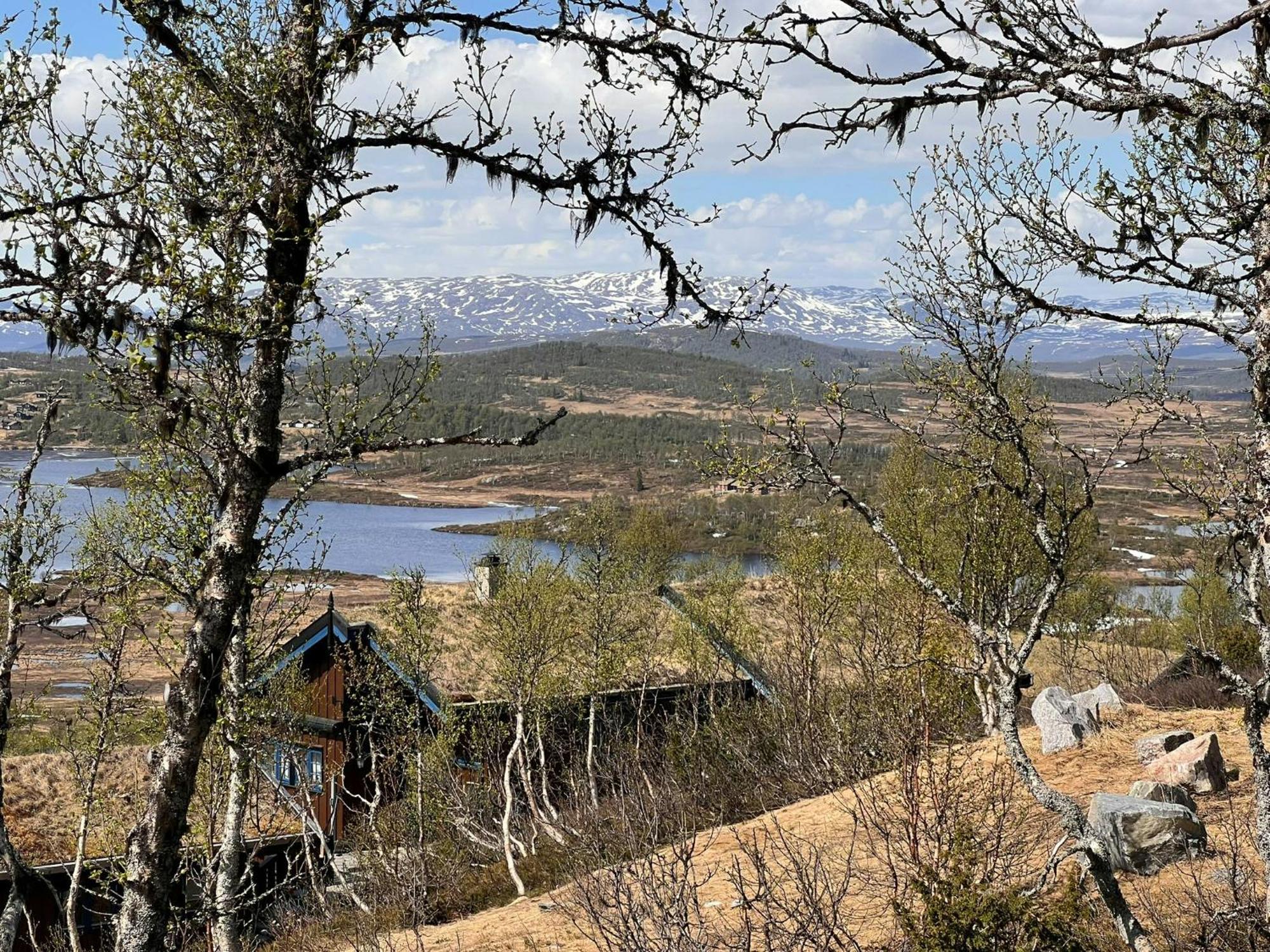 레울란 Traditional Log Cabin At Vierli 빌라 외부 사진