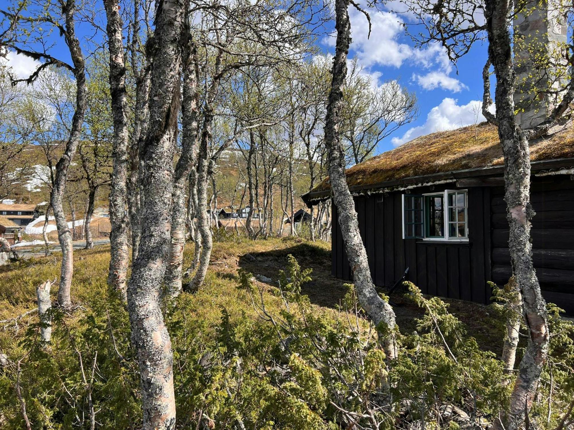 레울란 Traditional Log Cabin At Vierli 빌라 외부 사진