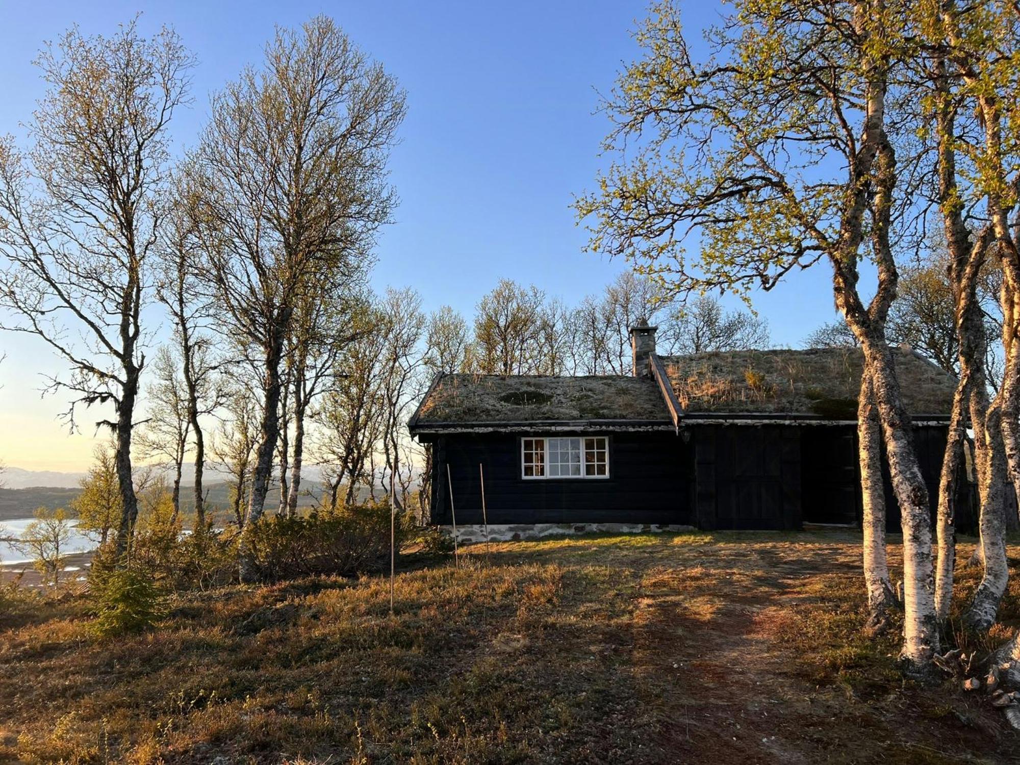 레울란 Traditional Log Cabin At Vierli 빌라 외부 사진